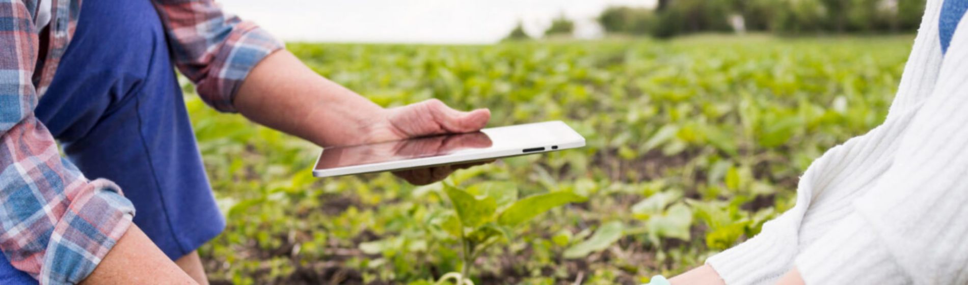 Día Mundial del Suelo