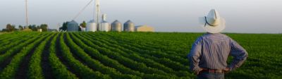 Farmer in field facing horizon