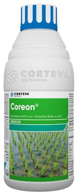 Coreon