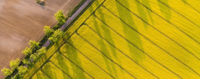 Corteanovelteeladasait001