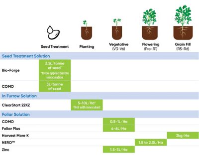Legumes Phenology Chart
