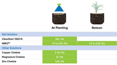 Sugarcane Phenology Chart