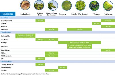 Table Grape Phenology Chart