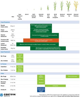 Wheat Phenology Chart