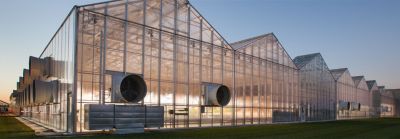 Objetivos sostenibles