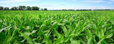 CortevaInstinctcover1440