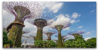 The Singapore Paradox