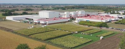 CortevaSzarvadseedcompany