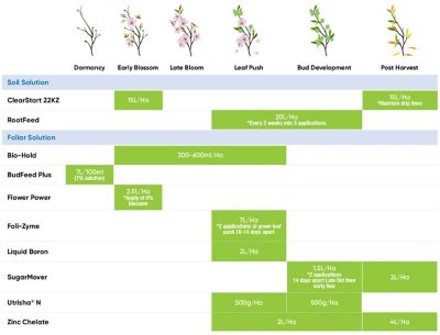 Almond Phenology Chart