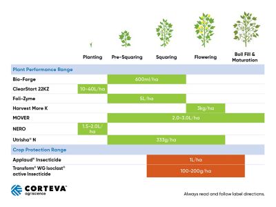 Cotton Phenology Chart