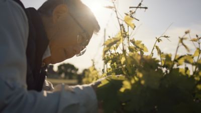 Controlul Nematozilor