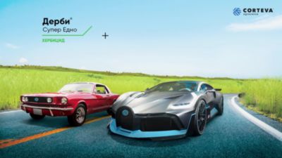 Традиция и Иновации