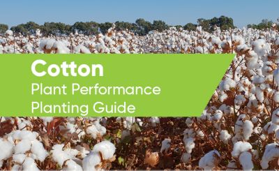 Plant Performance - Cotton Guide