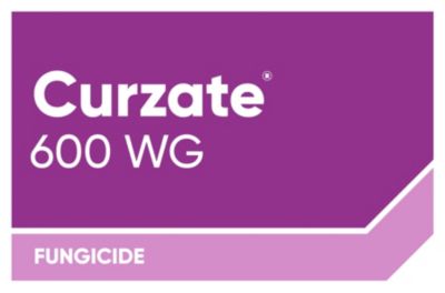 Curzate 600 WG_Logo