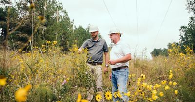 two workers inspecting utility row