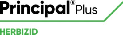 Principal Plus