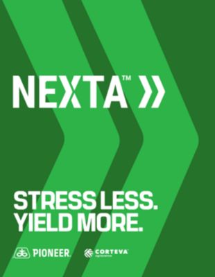 West NEXTA Guide 