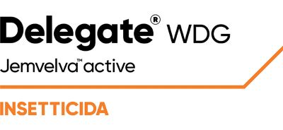 Logo Delegate WDG