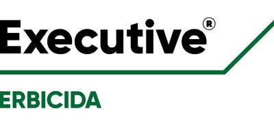 Logo Executive