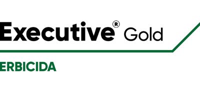 Logo Executive Gold