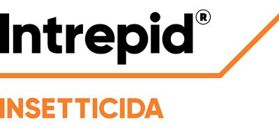 Logo Intrepid