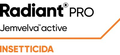 Logo Radiant Pro