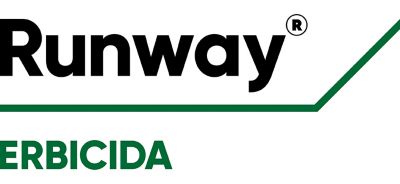 Logo Runway