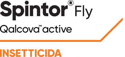 Logo Spintor Fly