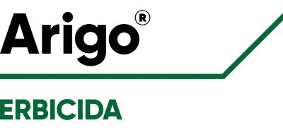 Logo Arigo