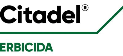 Logo Citadel