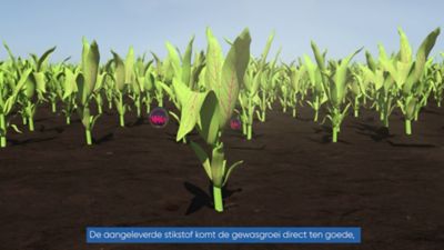 BlueN® Nieuwe biologische stikstofbron voor het gewas
