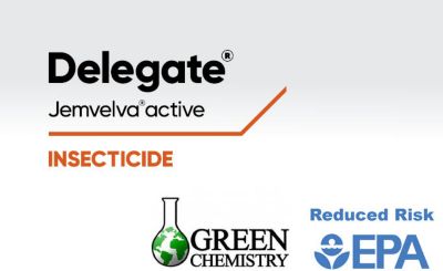 Delegate Jemvelva active Insecticide