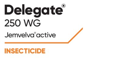 Delegate_Product_Logo
