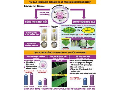 Dithane® M-45 80WP | Crop Protection | Corteva Agriscience