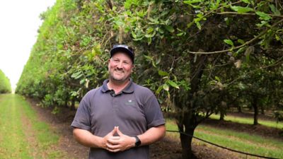Dr Chris Cannizzaro, of Macadamia Farm Management, Bundaberg, QLD, said Transform insecticide targets spotting bug and works well within an IPM framework. 