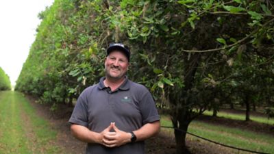 Dr Chris Cannizzaro, Macadamia Farm Management, Bundaberg, QLD
