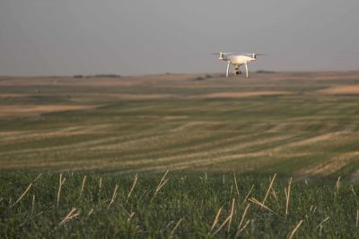 Drone Flying Over Cereal Crop