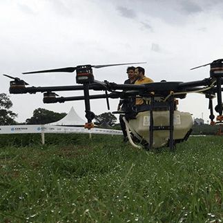 Drone jogar veneno em pastagem