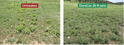 treated vs. untreated comparison view