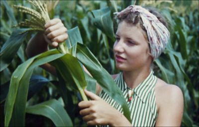 Ag Stands Together - Historic