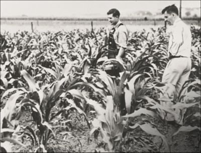 One-to-one Since 1926 - Historic