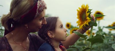 14 sustainability goals 