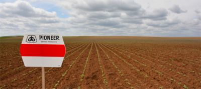 pioneer signal in field