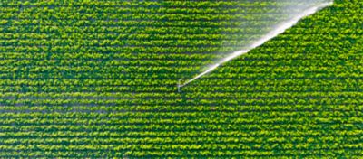irrigation of a field