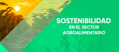 sustainability report header