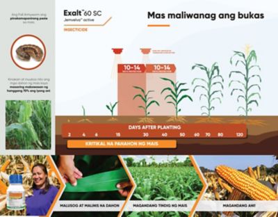 Exalt Corn Timing of Application 