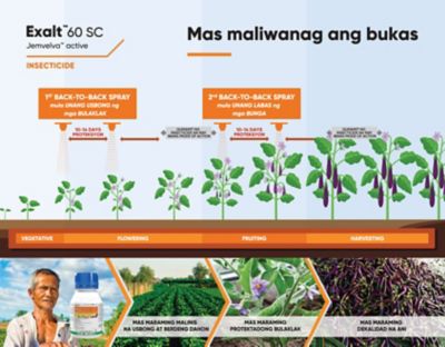 Exalt Eggplant Timing of Application 