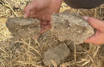 IMG-EU-UK-Soil_clod_examined.jpeg