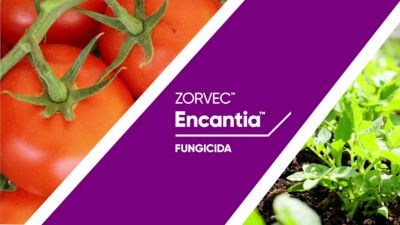 Zorvec™ Encantia™ 