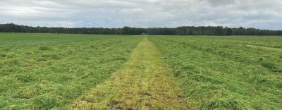 Eerste-snede-voorlopig-flinke-uitdaging